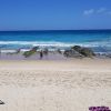 Plage de Coolangatta (plage de Greenmount)