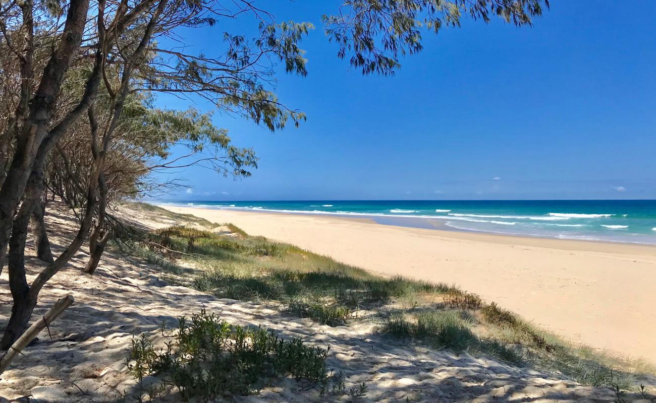 Photo de Minjerribah Beach avec sable beige fin de surface