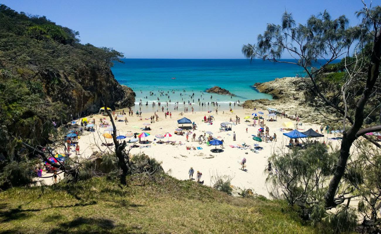 Photo de South Gorge Beach avec sable beige fin de surface