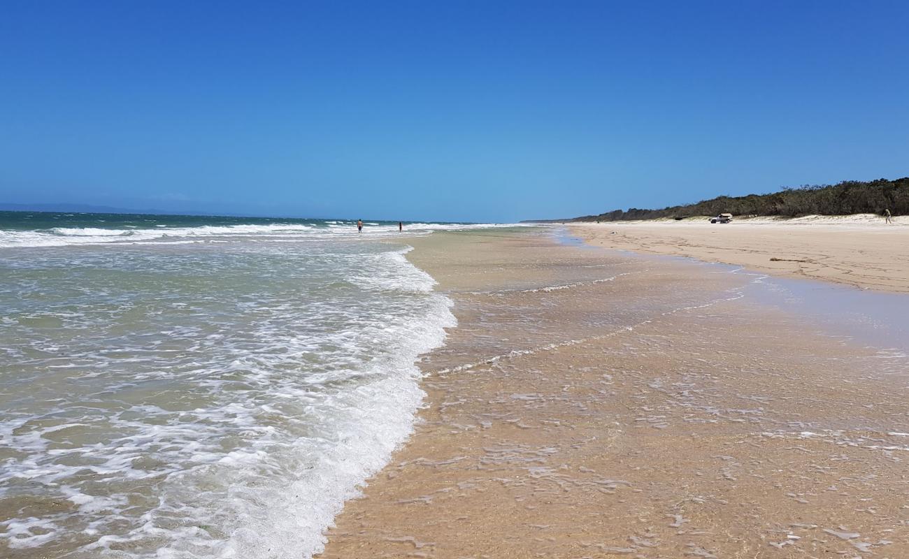 Photo de Norfolk Creek avec sable beige de surface
