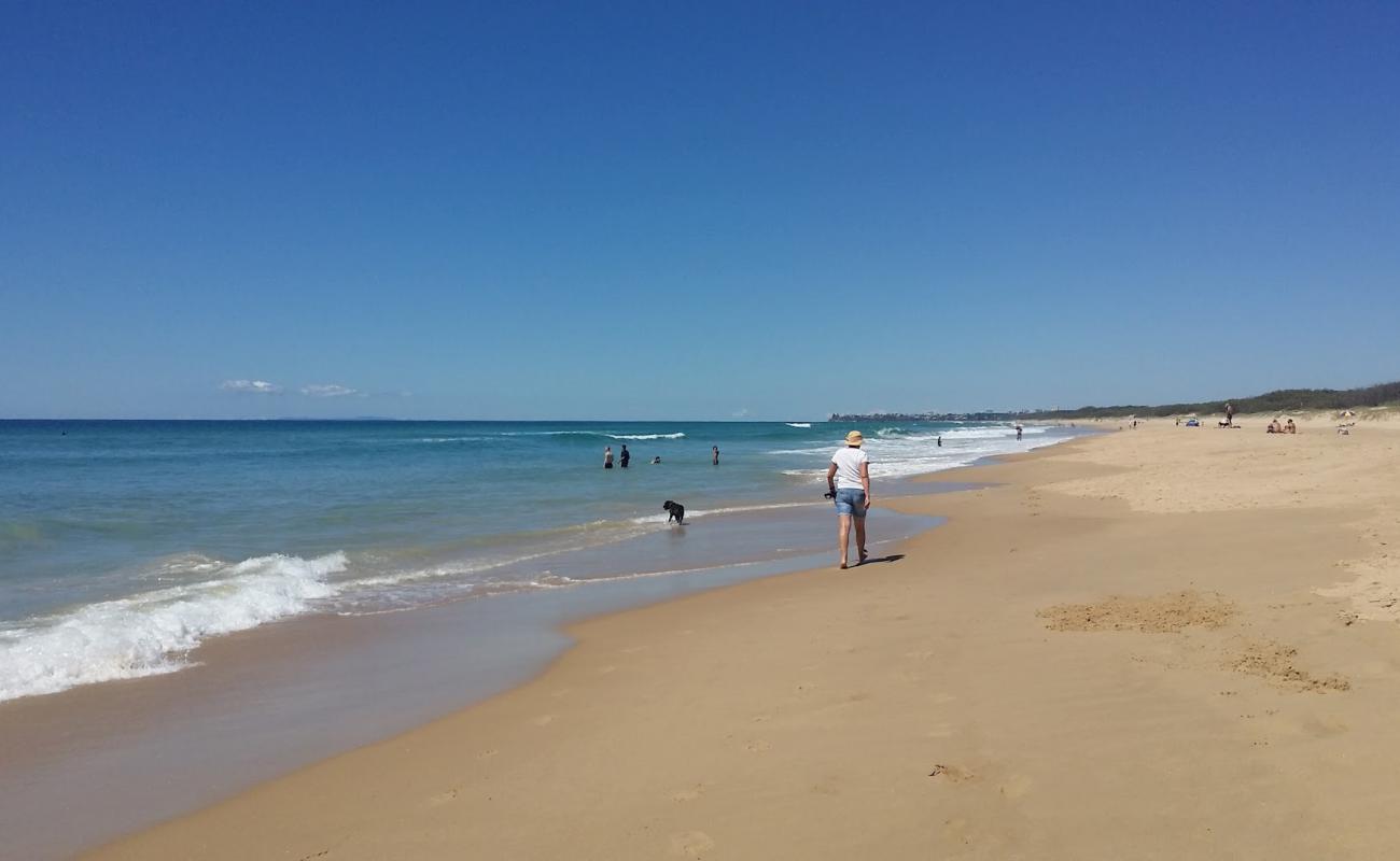 Photo de Dog & Cat Beach avec sable lumineux de surface