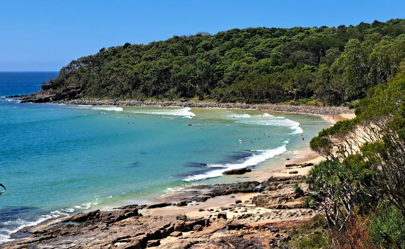 Photo de Tea Tree Bay Beach avec sable lumineux de surface