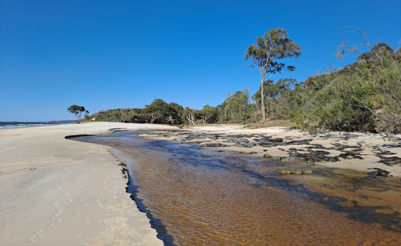 Photo de Bowarrady Creek Beach avec sable beige de surface