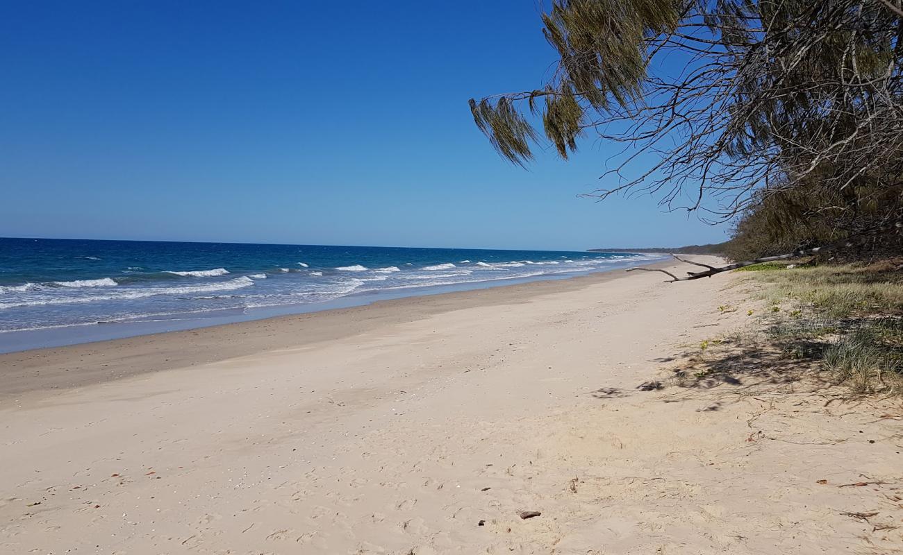 Photo de Woodgate Beach avec sable lumineux de surface