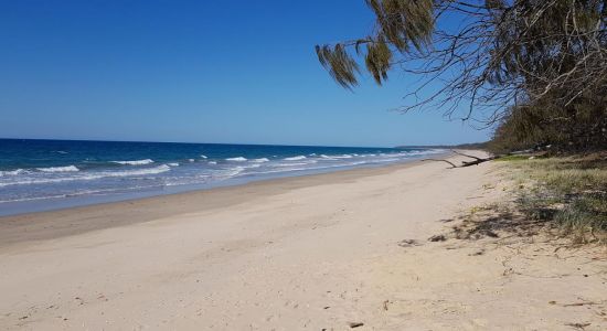 Woodgate Beach