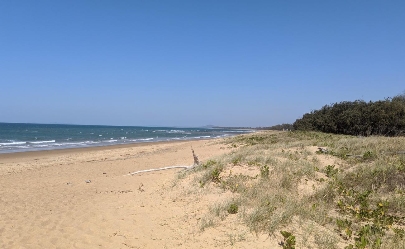 Photo de Wild Cattle Beach avec sable lumineux de surface