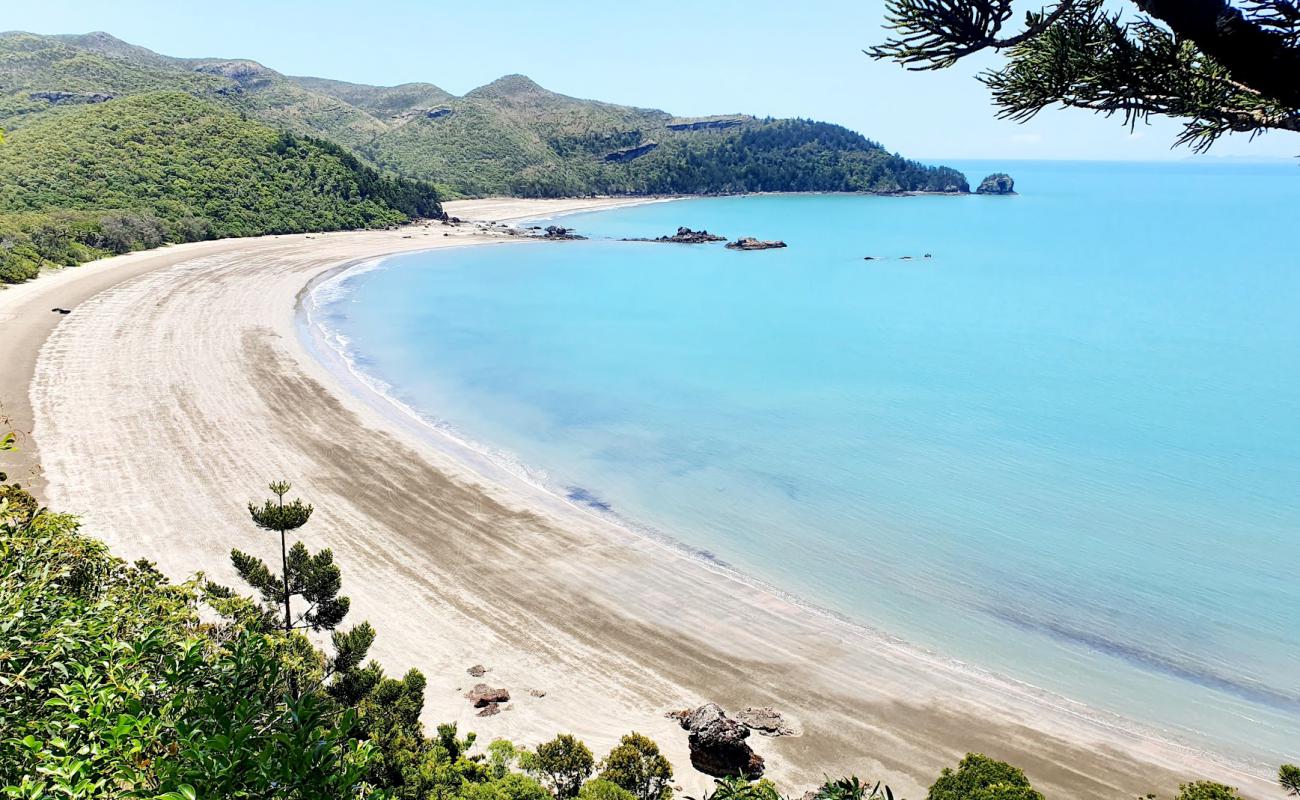 Photo de Cape Hillsborough Beach avec sable lumineux de surface