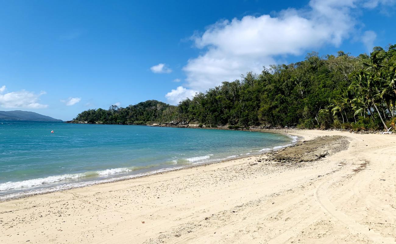 Photo de Palm Bay Beach avec sable beige de surface