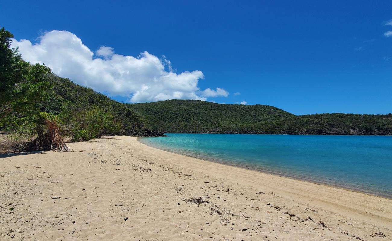 Photo de Coral Cove Beach avec sable beige de surface