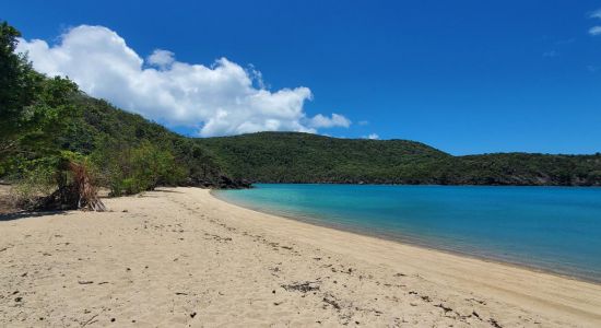 Coral Cove Beach