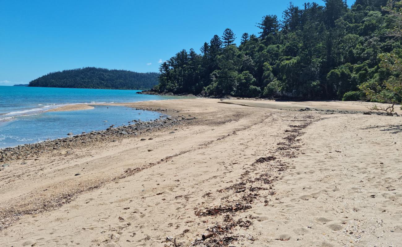 Photo de Sawmill Beach avec sable lumineux de surface