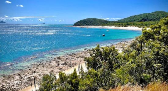 Chalkie's Beach