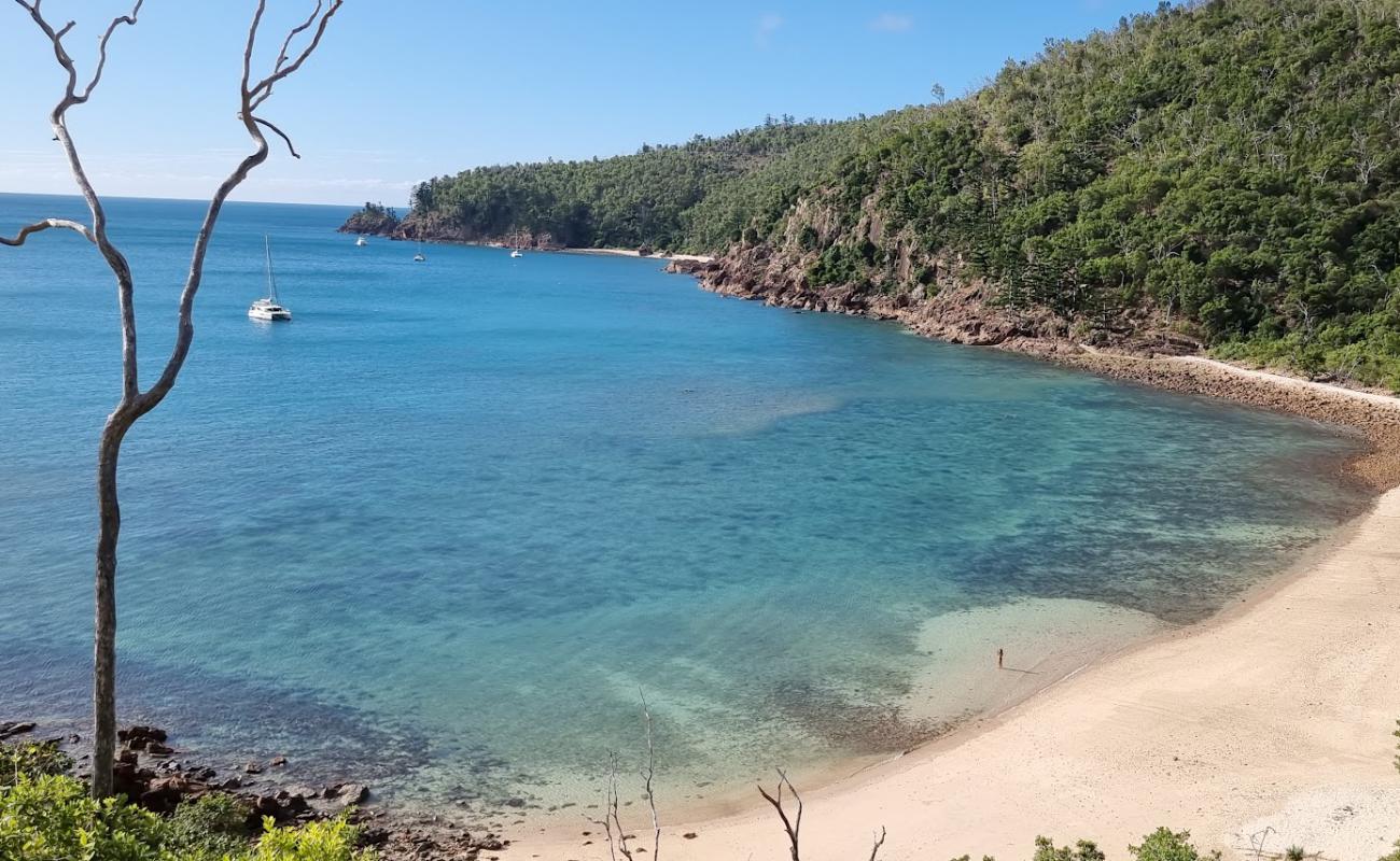 Photo de Blue Pearl Beach avec sable beige & pierres de surface