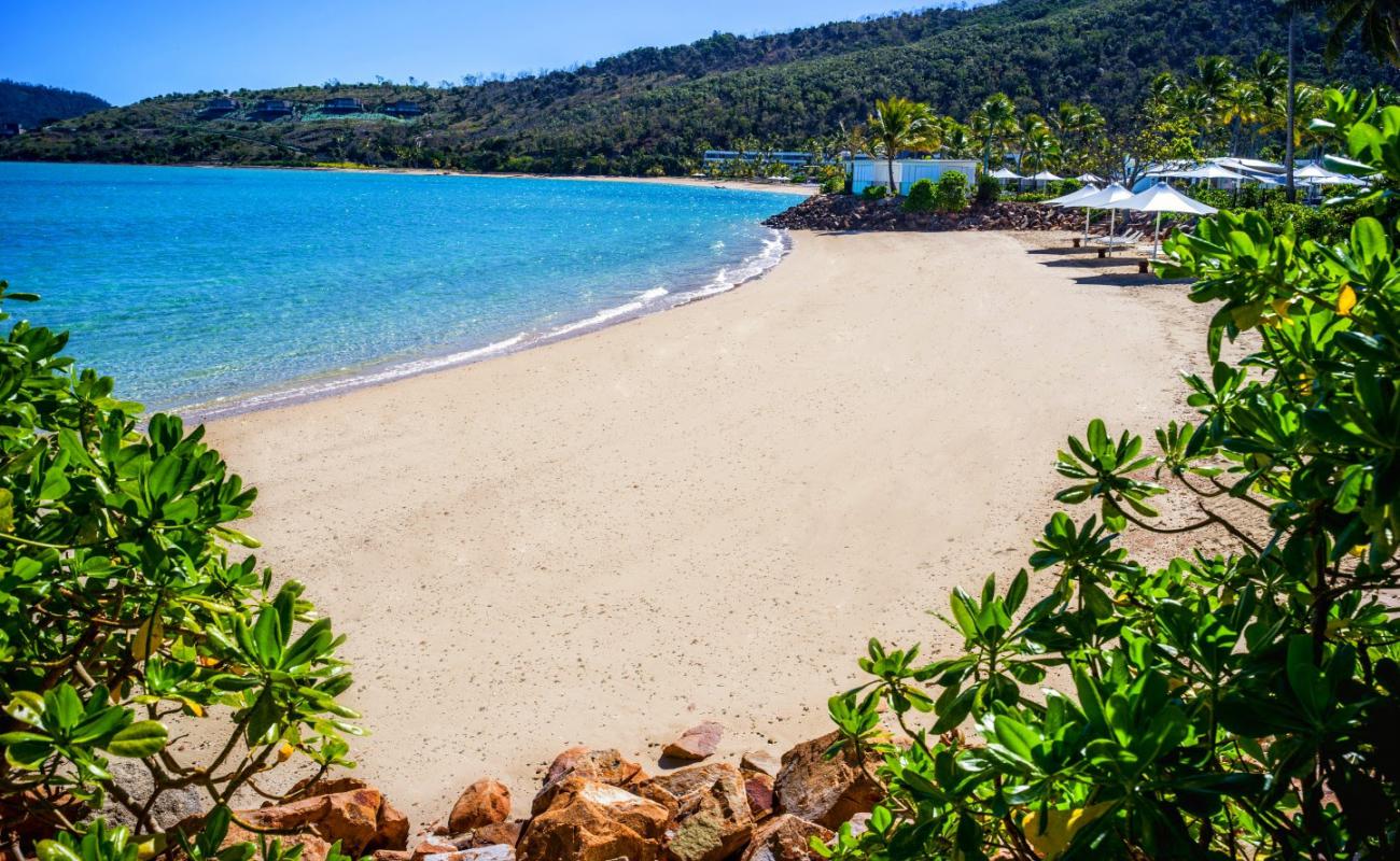 Photo de Hayman Island Beach avec sable beige fin de surface