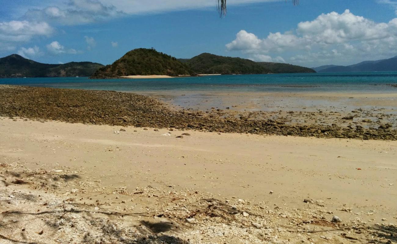 Photo de Cockatoo Beach avec sable beige de surface