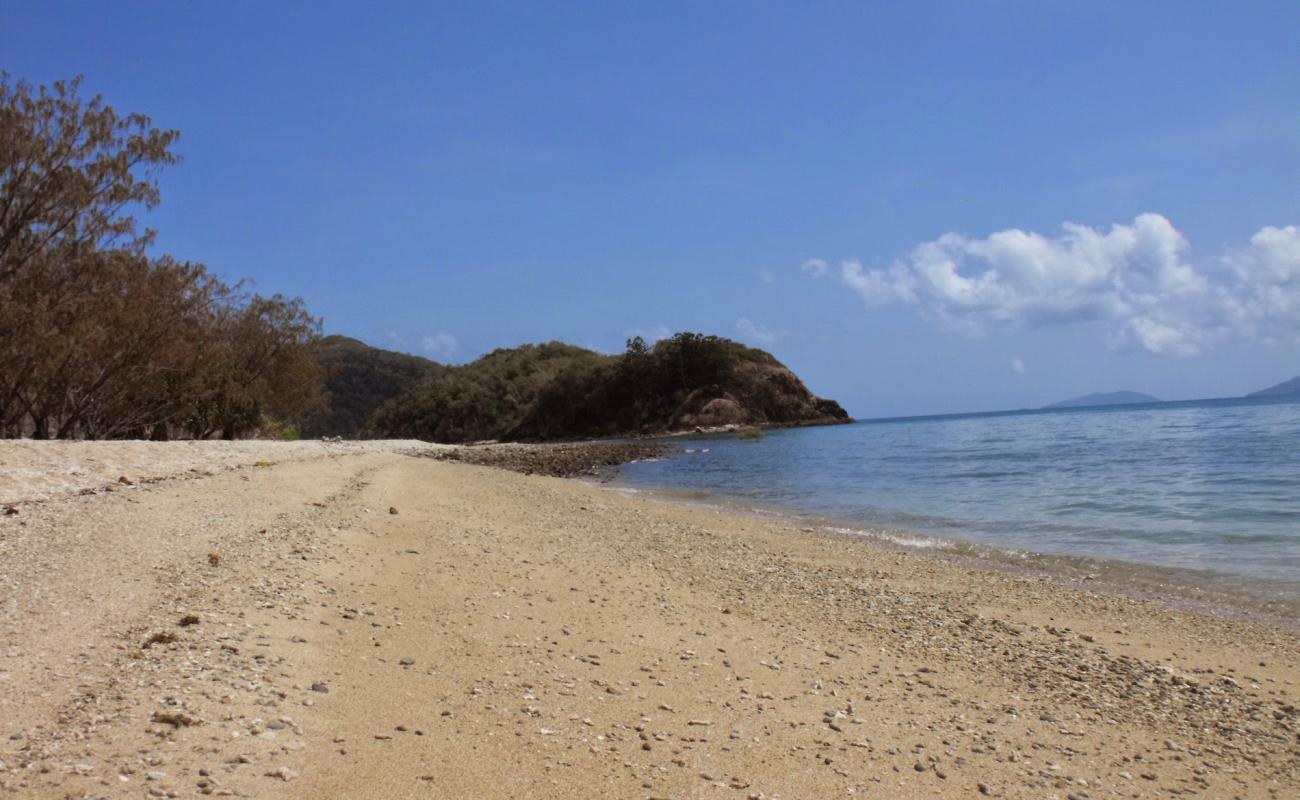 Photo de Paddle Bay Beach avec sable gris & rochers de surface