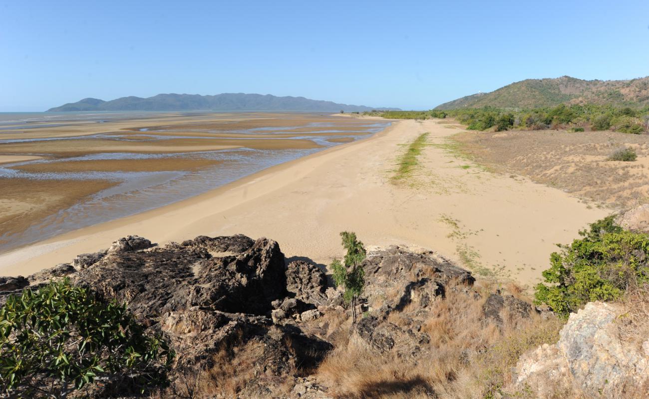 Photo de Shelly Beach avec sable lumineux de surface