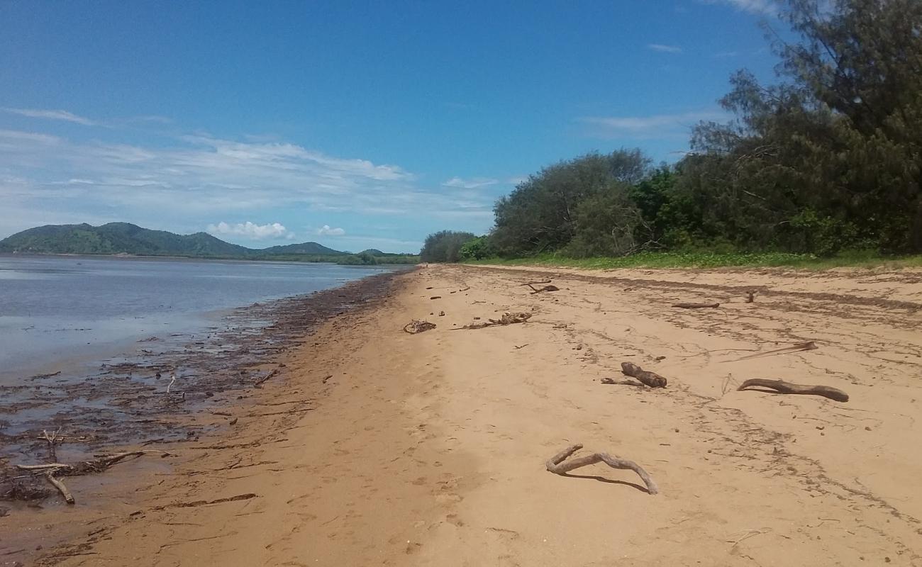 Photo de Bushland Beach avec sable lumineux de surface