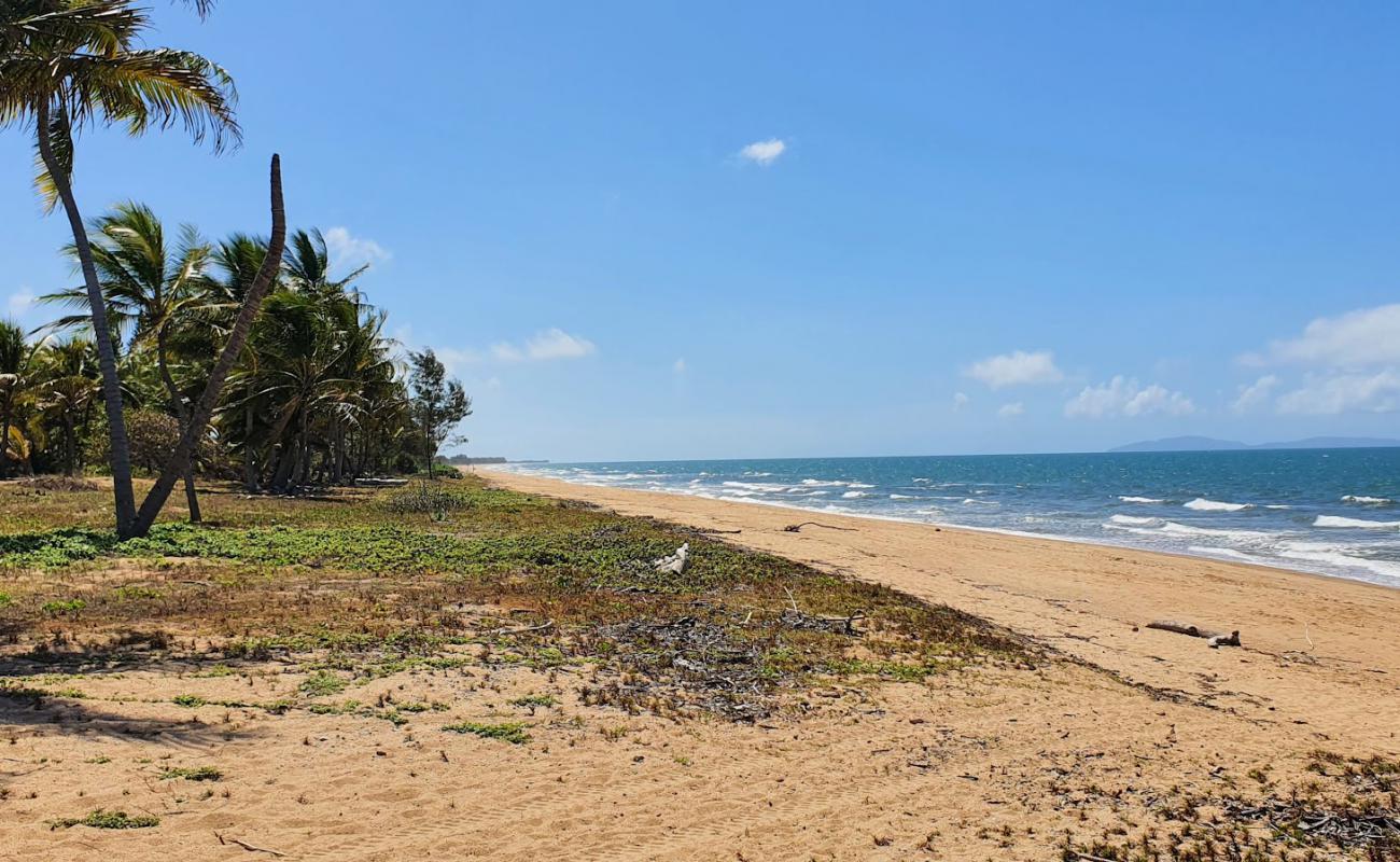 Photo de Forrest Beach avec sable beige de surface