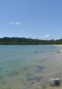 Région de Cassowary Coast