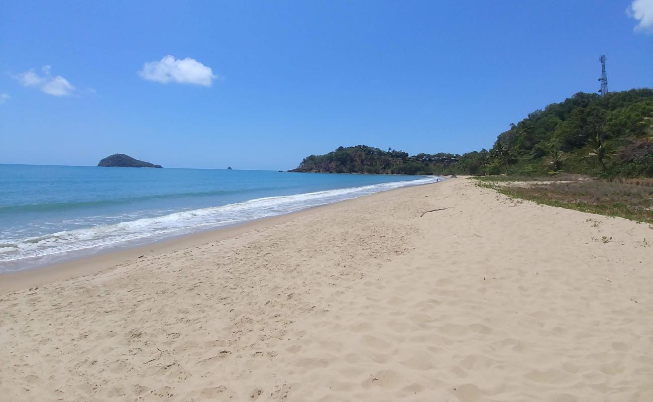 Photo de Buchans Point Beach avec sable beige de surface