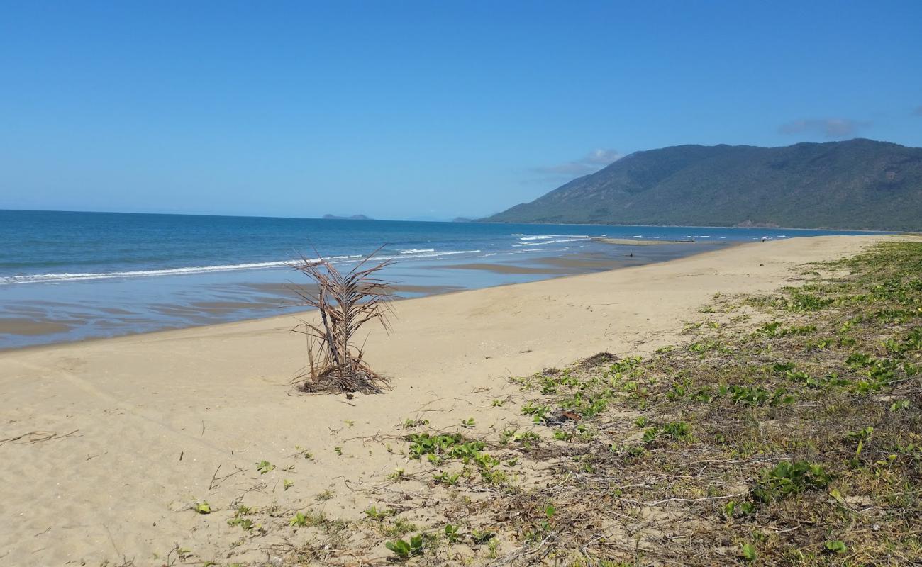 Photo de Wangetti Beach avec sable lumineux de surface