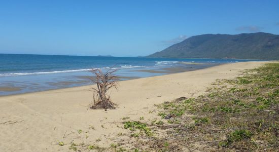 Wangetti Beach