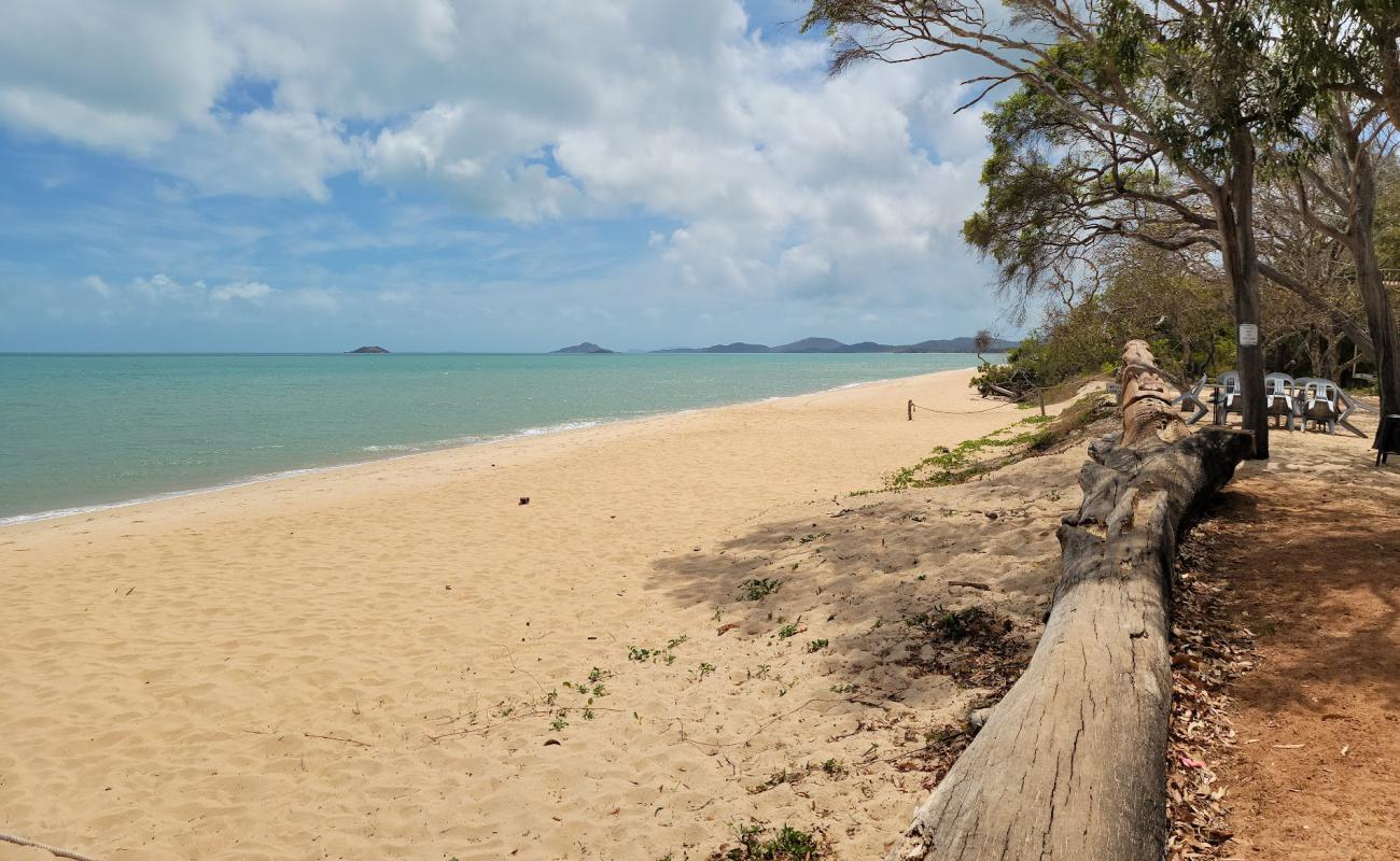Photo de Punsand Beach avec sable beige de surface