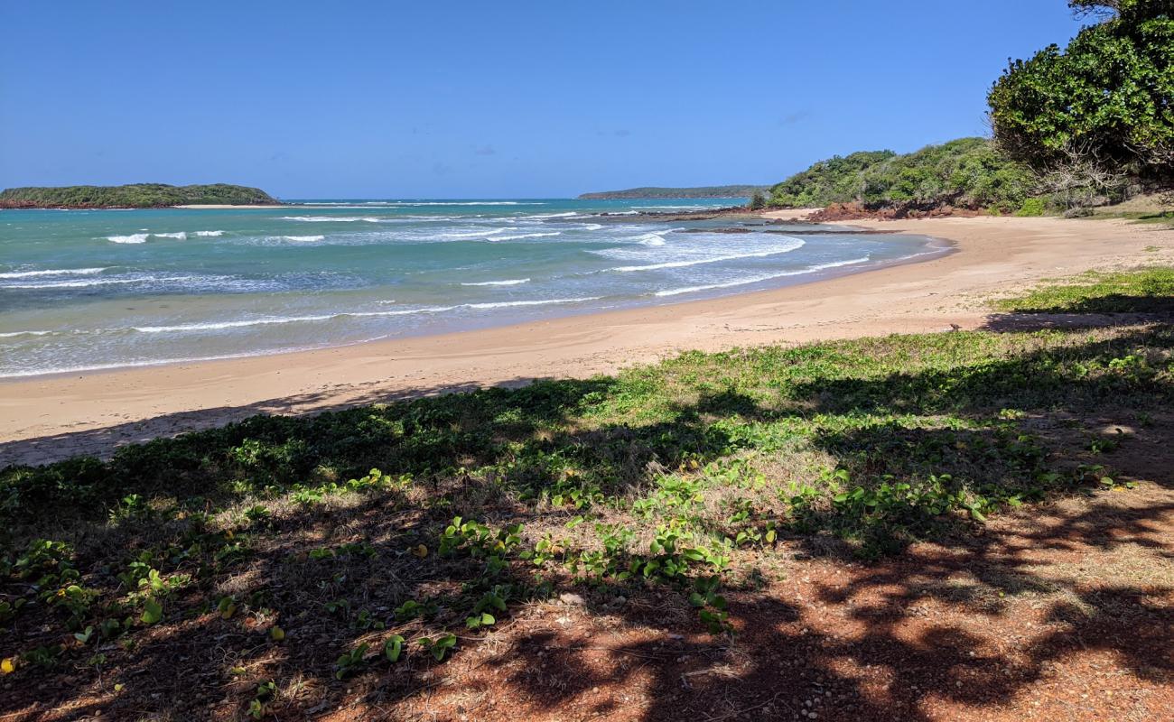 Photo de Shady Beach avec sable lumineux de surface