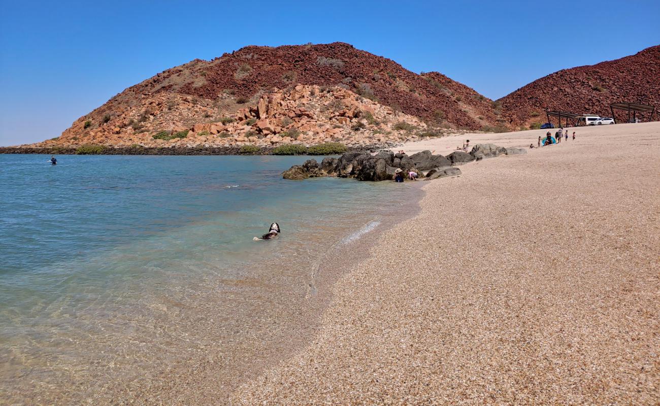 Photo de Hearson's Cove avec caillou fin clair de surface