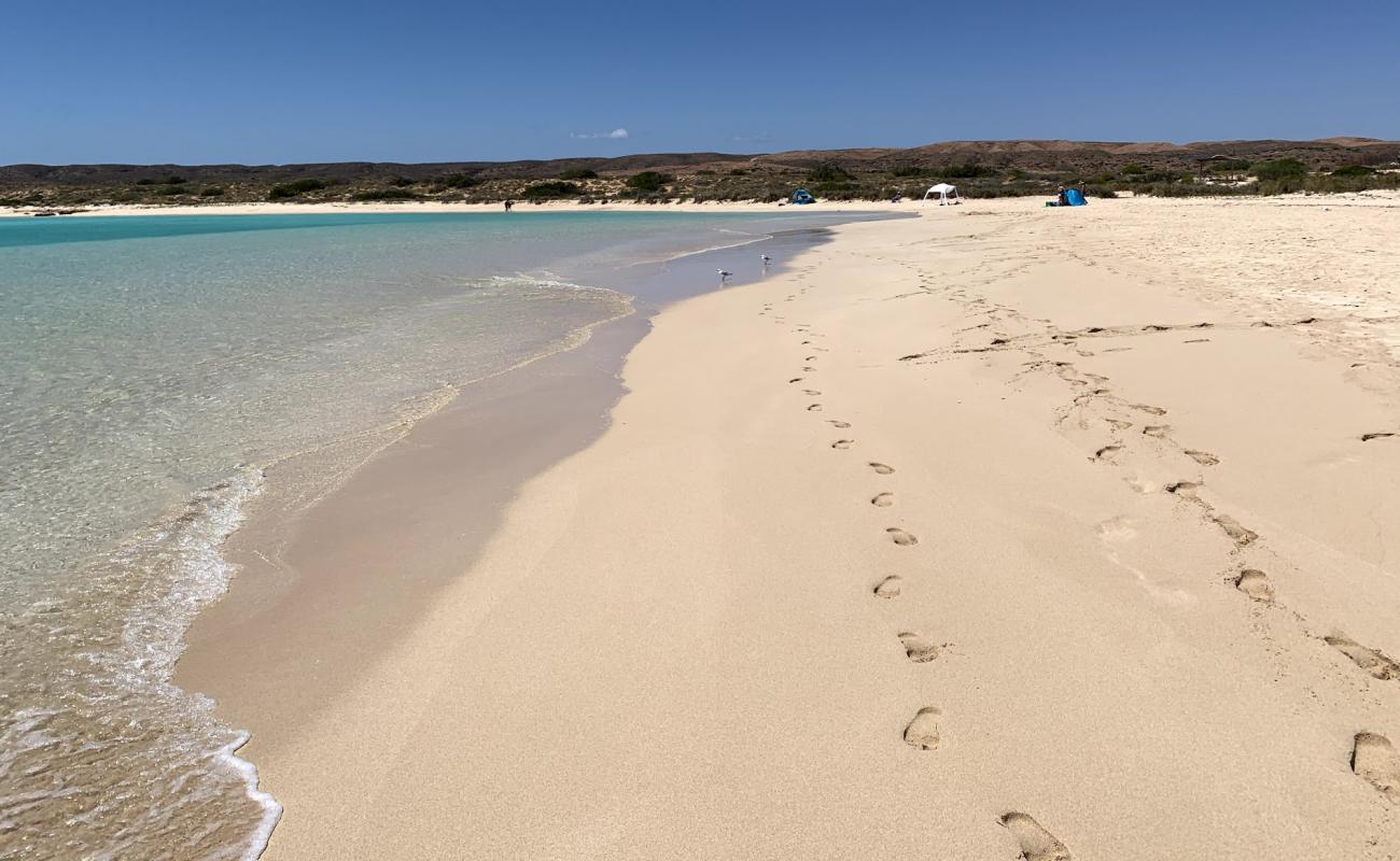 Photo de Sandy Bay avec sable beige fin de surface