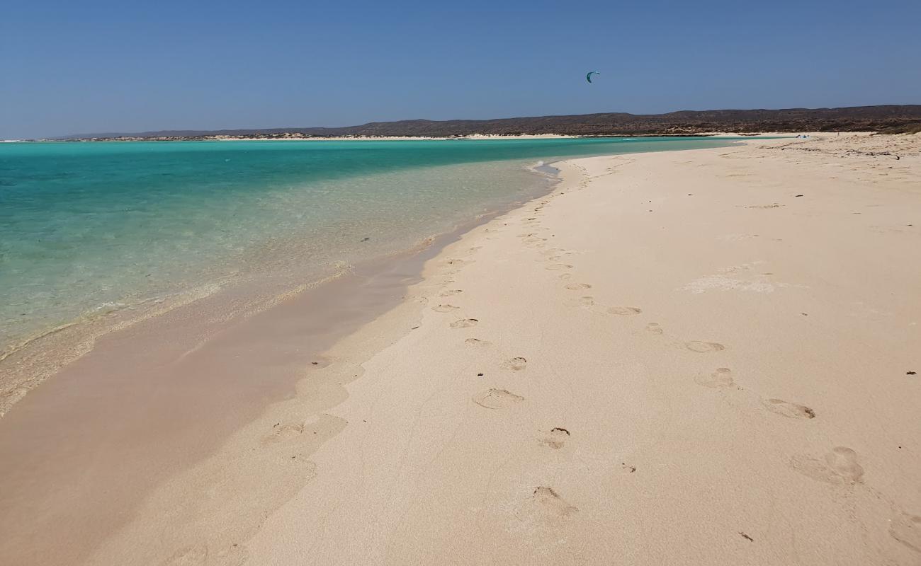 Photo de Ningaloo Coast Beach avec sable fin et lumineux de surface