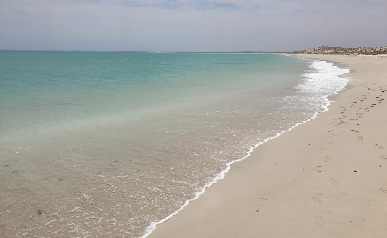 Photo de Skeleton Beach avec sable fin et lumineux de surface