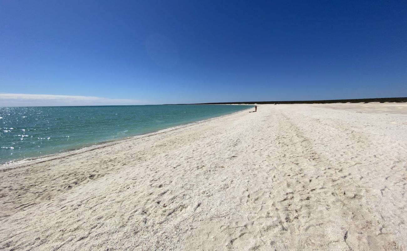 Photo de Shell Beach avec sable coquillier blanc de surface