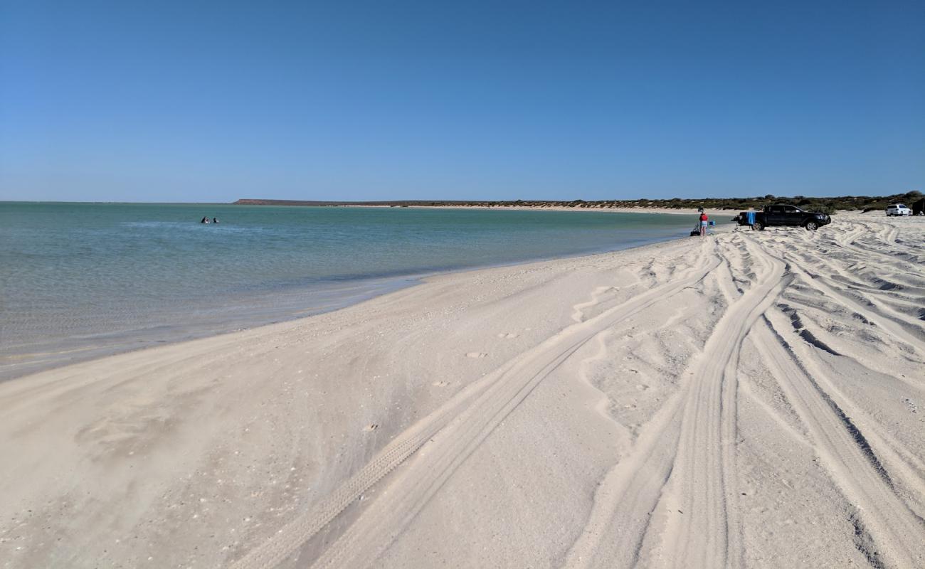 Photo de Herald Bight Beach avec sable lumineux de surface