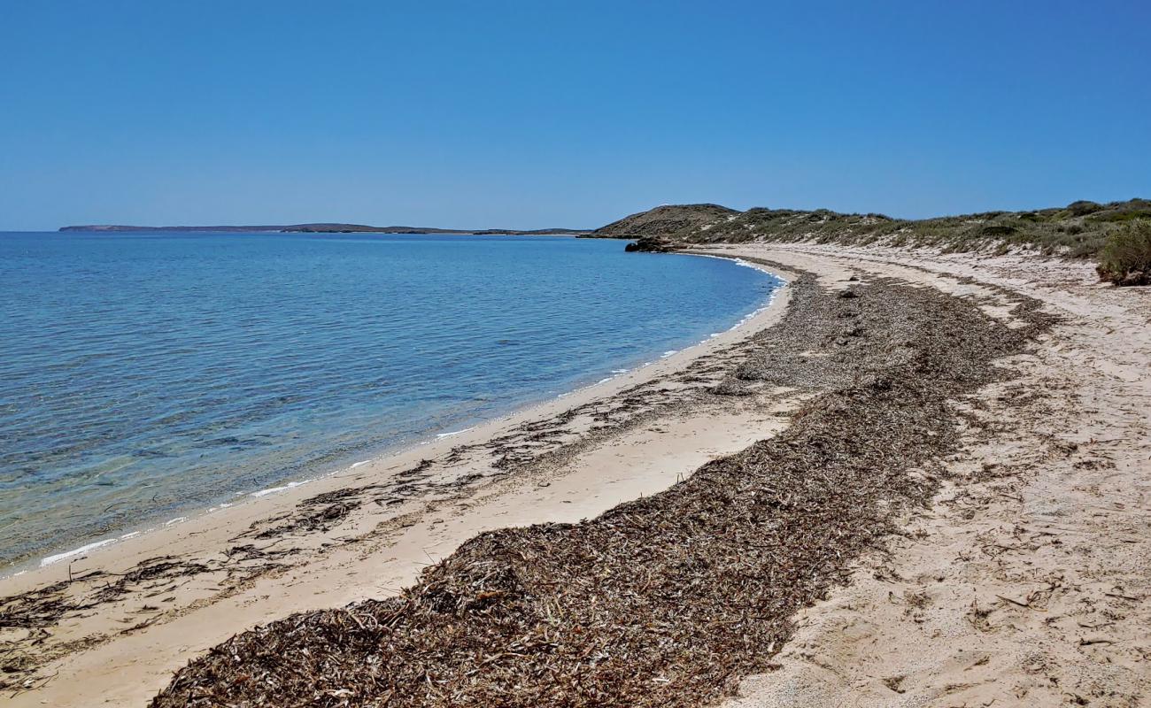 Photo de The Whalebone Road Beach avec sable beige de surface