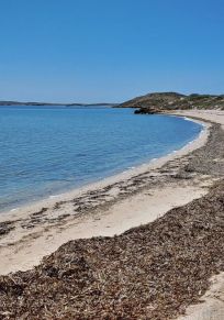 Comté de Shark Bay