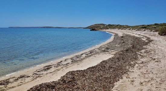 The Whalebone Road Beach