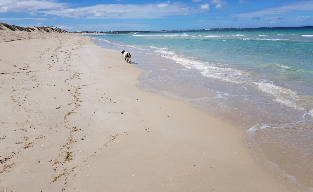 Photo de Glenfield Beach avec sable lumineux de surface