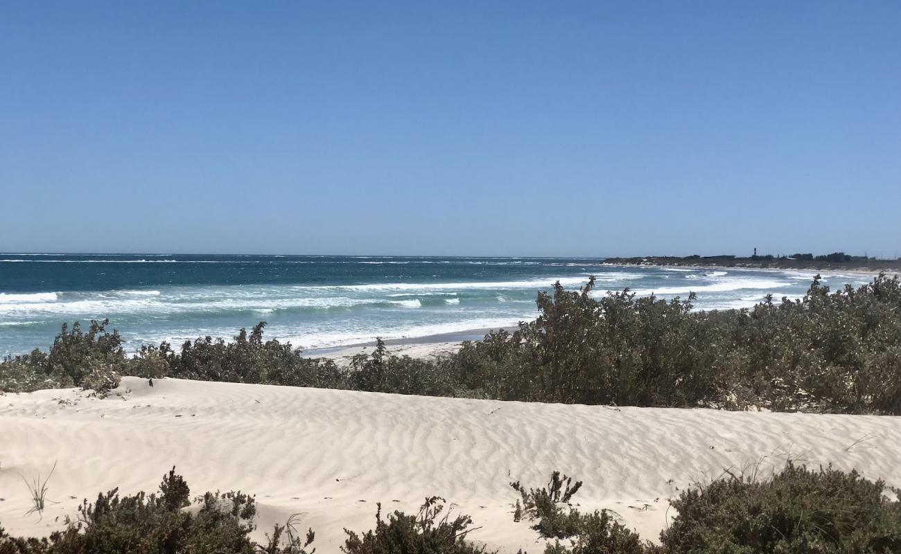 Photo de Tarcoola Beach avec sable fin et lumineux de surface