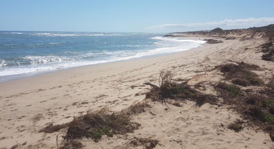 Seaspray Beach