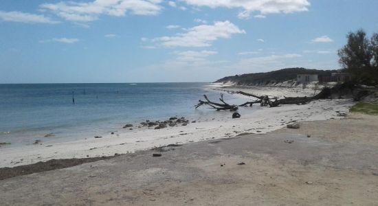 Freshwater North Beach