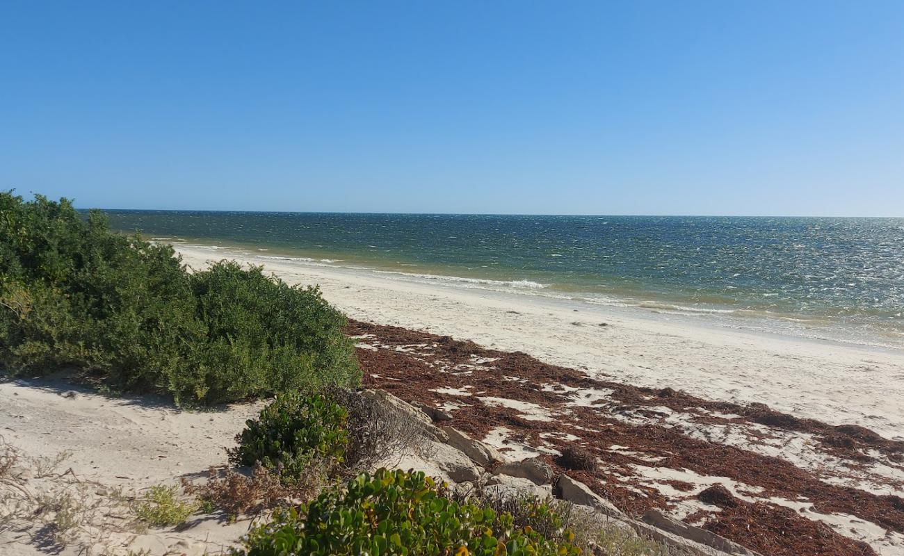 Photo de Illawong Beach avec sable beige de surface