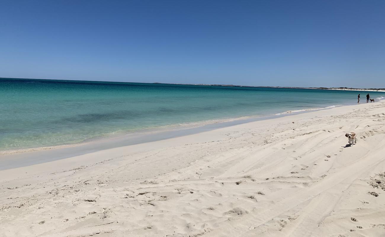 Photo de Jurien Dog Beach avec sable blanc de surface