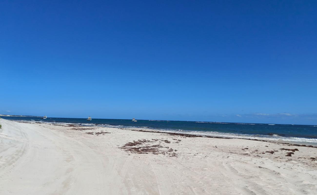 Photo de Ledge Point Beach avec sable fin blanc de surface
