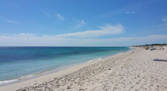 Swanbourne Beach