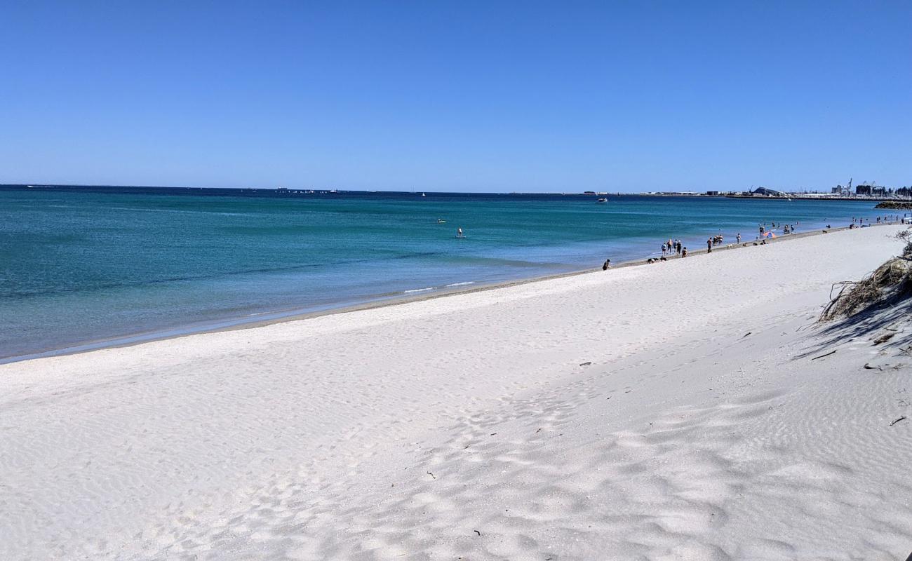 Photo de North Coogee Dog Beach avec sable beige de surface