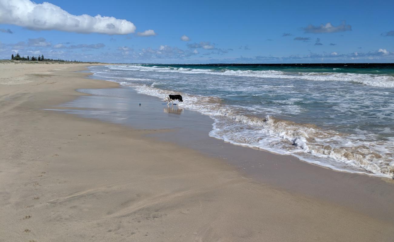 Photo de Singleton Beach avec sable beige de surface