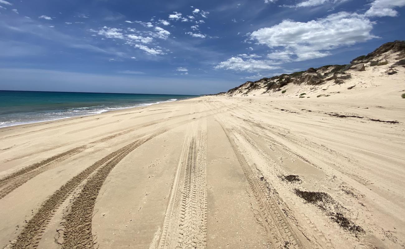 Photo de White Hills Beach avec sable beige de surface