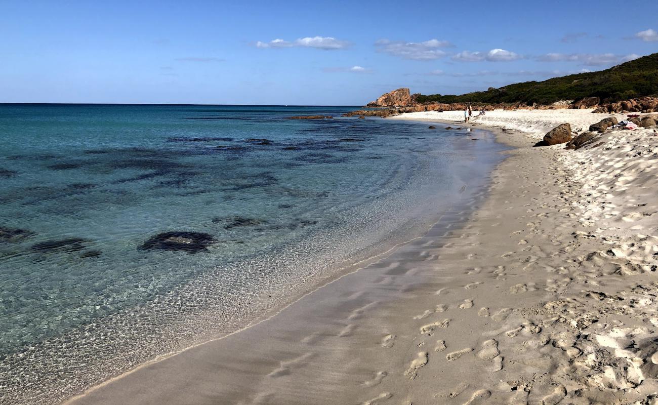 Photo de Castle Rock Beach avec sable lumineux de surface